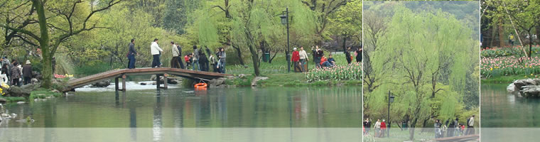 See in China